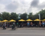 Dù Gỗ tròn