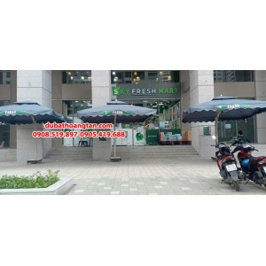 DÙ VUÔNG LỆCH TÂM