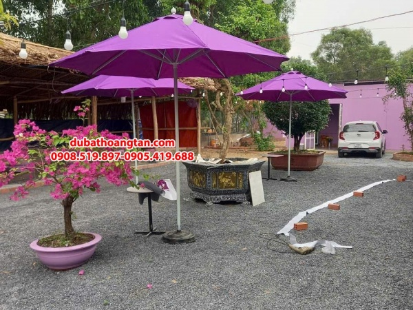 DÙ SẮT SƠN TĨNH ĐIỆN